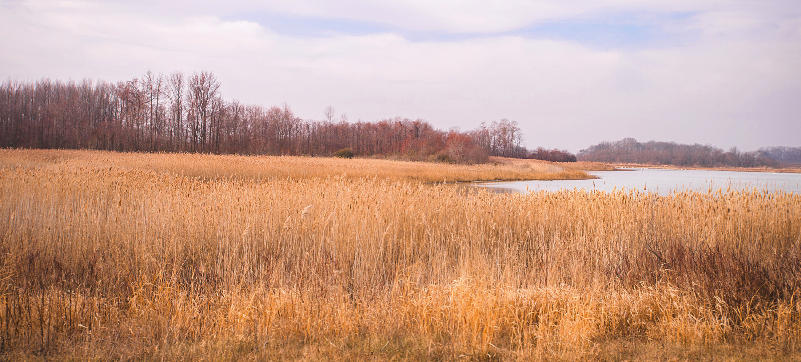 bobay-hook-national-wildlife-preserve
